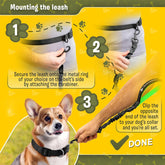 Exquisite Hands-Free Leash for Medium Dogs: Ultimate Comfort & Freedom for Running, Walking, Hiking. Premium Quality, Durable & Versatile Waist Dog Leash Belt. Your Dog Will Love It