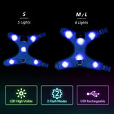 LED Dog Harness,Lighted up USB Rechargeable Pet Harness,Illuminated Reflective Glowing Dog Vest Adjustable Soft Padded No-Pull Suit for Small,Medium,Large Dogs (Blue, M)