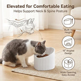 tilted elevated ceramic cat bowlsDark Green Ceramic Raised Cat Bowls, Tilted Elevated Food or Water Bowls, Stress Free, Backflow Prevention, Dishwasher and Microwave Safe, Lead & Cadmium Free