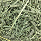 Western Timothy Hay, Guinea Pig Hay, Small Pet Bunny Supplies, All Natural Grass for Guinea Pig, Bunny, Chinchilla & Hamster,  Rabbit Supplies for Bunnies, 9 Lb Box