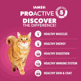 Proactive Health Dry Cat Food, Urinary Tract Health, Adult Cat Food Dry Recipe with Chicken, 16 Lb. Bag