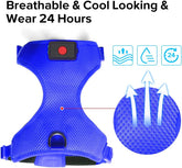 LED Dog Harness,Lighted up USB Rechargeable Pet Harness,Illuminated Reflective Glowing Dog Vest Adjustable Soft Padded No-Pull Suit for Small,Medium,Large Dogs (Blue, M)