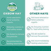 Western Timothy Hay, Guinea Pig Hay, Small Pet Bunny Supplies, All Natural Grass for Guinea Pig, Bunny, Chinchilla & Hamster,  Rabbit Supplies for Bunnies, 9 Lb Box