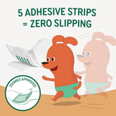 Disposable Dog Diaper Liners Booster Pads for Male & Female Dogs, 100Ct, 5 Sizes Options, Doggie Diaper Inserts Fit Most Types of Dog Diapers - Pet Belly Bands & Male Wraps (X-Small(100Ct))