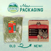 Western Timothy Hay, Guinea Pig Hay, Small Pet Bunny Supplies, All Natural Grass for Guinea Pig, Bunny, Chinchilla & Hamster,  Rabbit Supplies for Bunnies, 9 Lb Box