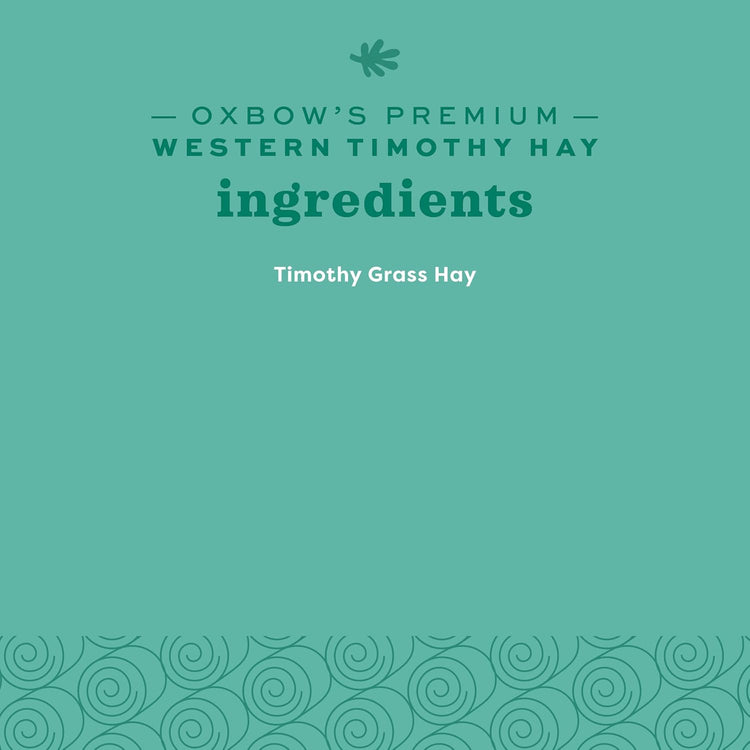 Western Timothy Hay, Guinea Pig Hay, Small Pet Bunny Supplies, All Natural Grass for Guinea Pig, Bunny, Chinchilla & Hamster,  Rabbit Supplies for Bunnies, 9 Lb Box