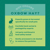 Western Timothy Hay, Guinea Pig Hay, Small Pet Bunny Supplies, All Natural Grass for Guinea Pig, Bunny, Chinchilla & Hamster,  Rabbit Supplies for Bunnies, 9 Lb Box