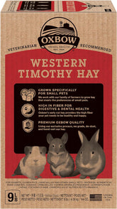 Western Timothy Hay, Guinea Pig Hay, Small Pet Bunny Supplies, All Natural Grass for Guinea Pig, Bunny, Chinchilla & Hamster,  Rabbit Supplies for Bunnies, 9 Lb Box