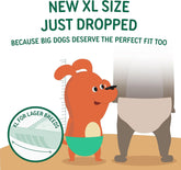 Disposable Dog Diaper Liners Booster Pads for Male & Female Dogs, 100Ct, 5 Sizes Options, Doggie Diaper Inserts Fit Most Types of Dog Diapers - Pet Belly Bands & Male Wraps (X-Small(100Ct))
